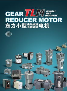 電動機 東力電機 北京 服務(wù)中心